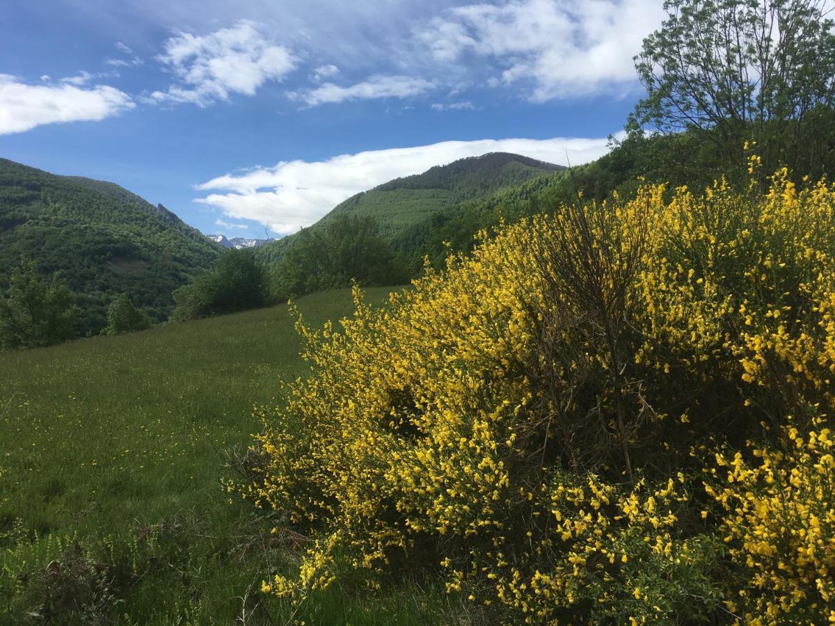Отель Les Songes Du Chene Augirein Экстерьер фото